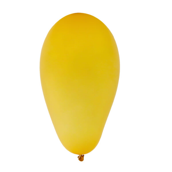 Balão Liso Premium