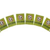 FUTEBOL COLORADO - Image 4