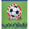 FUTEBOL COLORADO - Image 6